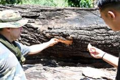 Foto de la galería: Tras los pasos de guardaparques