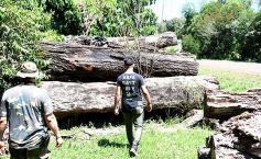 Foto de la galería: Tras los pasos de guardaparques