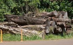 Foto de la galería: Tras los pasos de guardaparques