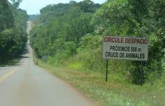 Foto de la galería: Tras los pasos de guardaparques