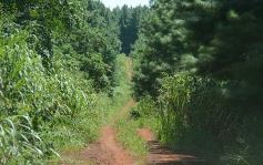 Foto de la galería: Tras los pasos de guardaparques