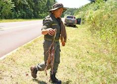 Foto de la galería: Tras los pasos de guardaparques