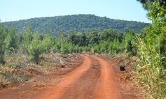 Foto de la galería: Tras los pasos de guardaparques