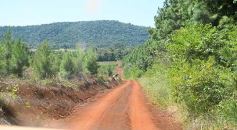 Foto de la galería: Tras los pasos de guardaparques