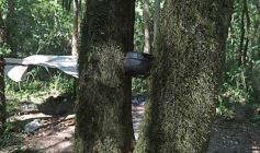 Foto de la galería: Tras los pasos de guardaparques