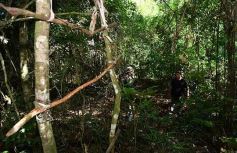 Foto de la galería: Tras los pasos de guardaparques