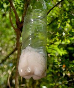 Foto de la galería: Tras los pasos de guardaparques