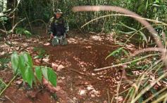 Foto de la galería: Tras los pasos de guardaparques