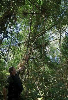 Foto de la galería: Tras los pasos de guardaparques