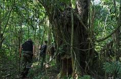 Foto de la galería: Tras los pasos de guardaparques