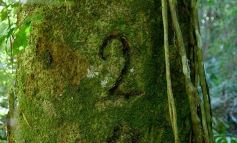 Foto de la galería: Tras los pasos de guardaparques