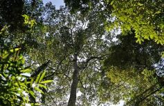 Foto de la galería: Tras los pasos de guardaparques