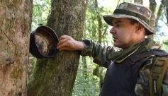 Foto de la galería: Tras los pasos de guardaparques