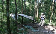 Foto de la galería: Tras los pasos de guardaparques