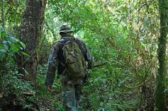 Foto de la galería: Tras los pasos de guardaparques