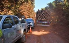 Foto de la galería: Tras los pasos de guardaparques