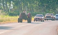 Foto de la galería: Tras los pasos de guardaparques