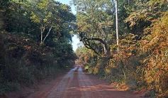 Foto de la galería: Tras los pasos de guardaparques