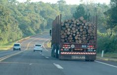 Foto de la galería: Tras los pasos de guardaparques