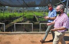 Foto de la galería: La Biofábrica por dentro