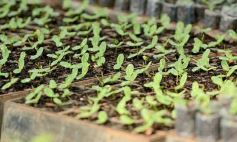 Foto de la galería: La Biofábrica por dentro
