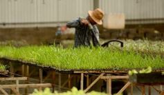 Foto de la galería: La Biofábrica por dentro