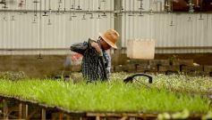 Foto de la galería: La Biofábrica por dentro