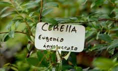 Foto de la galería: La Biofábrica por dentro