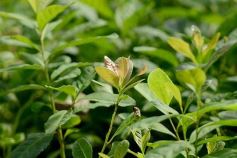 Foto de la galería: La Biofábrica por dentro