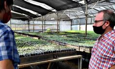 Foto de la galería: La Biofábrica por dentro