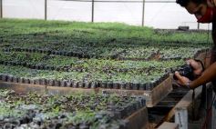 Foto de la galería: La Biofábrica por dentro