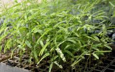 Foto de la galería: La Biofábrica por dentro