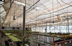 Foto de la galería: La Biofábrica por dentro