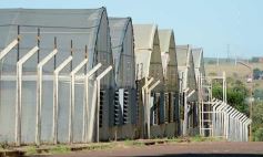 Foto de la galería: La Biofábrica por dentro