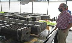 Foto de la galería: La Biofábrica por dentro