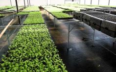 Foto de la galería: La Biofábrica por dentro