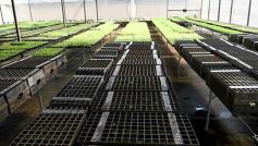 Foto de la galería: La Biofábrica por dentro