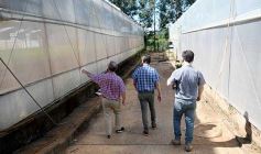 Foto de la galería: La Biofábrica por dentro