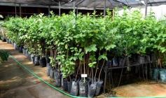 Foto de la galería: La Biofábrica por dentro