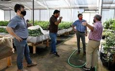 Foto de la galería: La Biofábrica por dentro