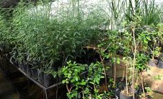 Foto de la galería: La Biofábrica por dentro