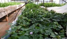 Foto de la galería: La Biofábrica por dentro