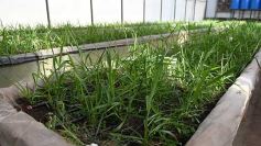 Foto de la galería: La Biofábrica por dentro