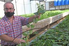 Foto de la galería: La Biofábrica por dentro