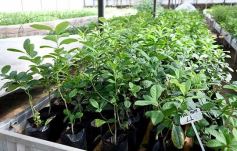 Foto de la galería: La Biofábrica por dentro