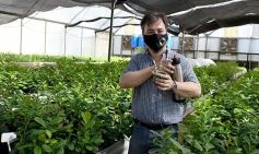 Foto de la galería: La Biofábrica por dentro