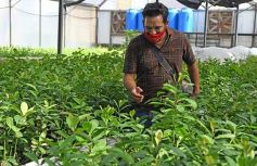 Foto de la galería: La Biofábrica por dentro