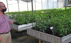 Foto de la galería: La Biofábrica por dentro