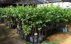 Foto de la galería: La Biofábrica por dentro