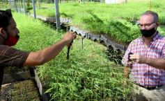 Foto de la galería: La Biofábrica por dentro
